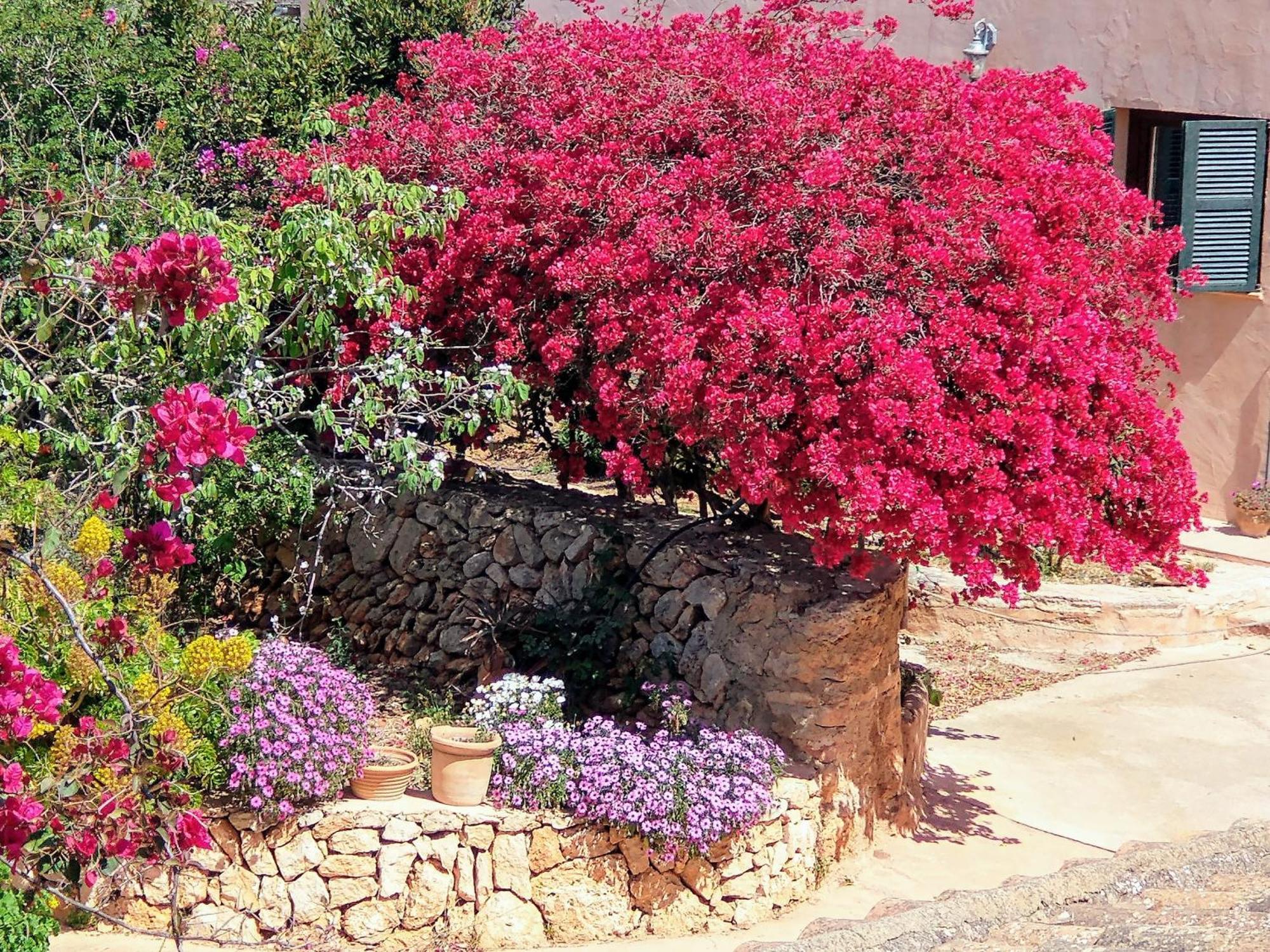 Finca Son Marimon (Adults Only) Santanyí Buitenkant foto