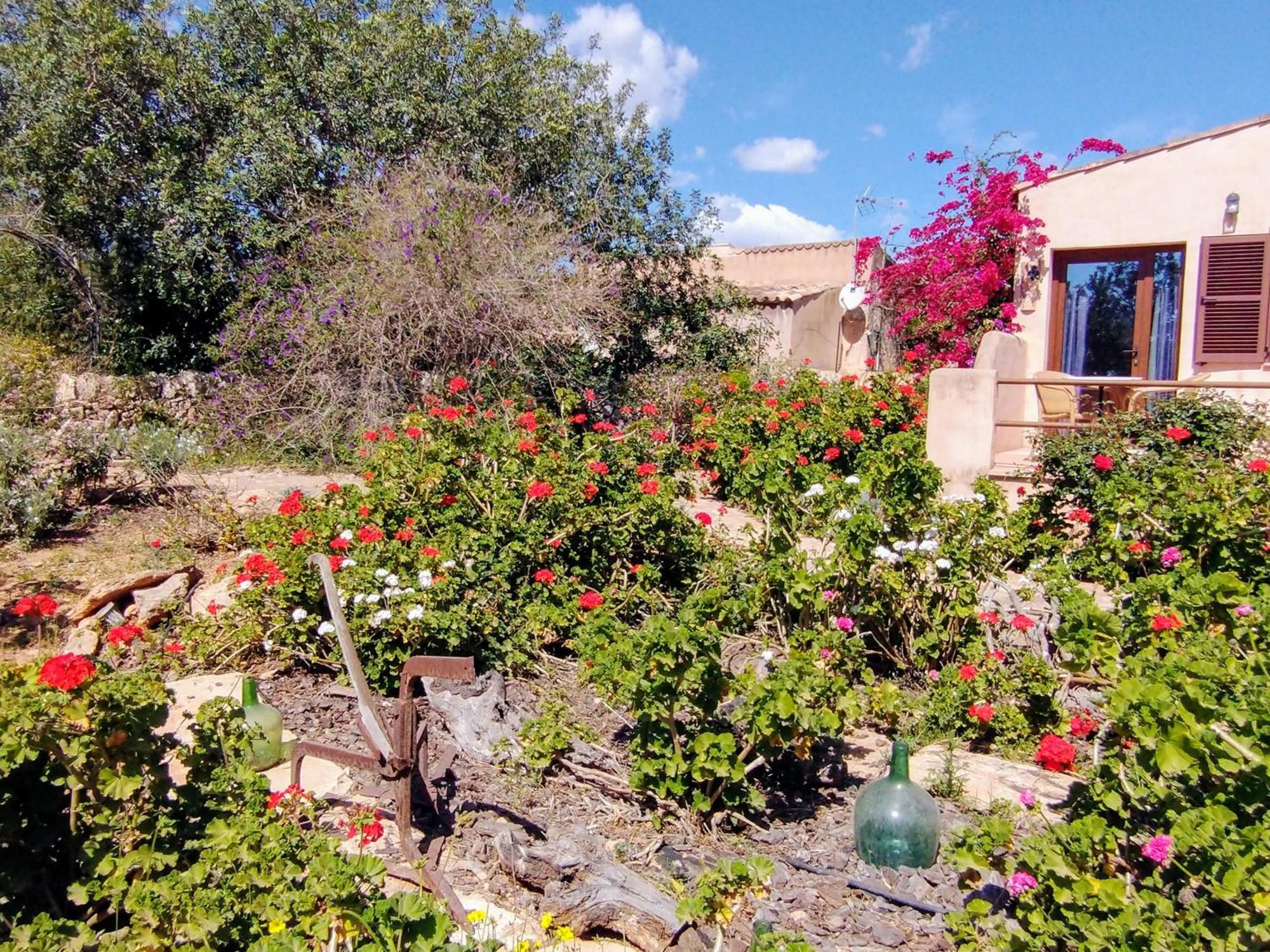 Finca Son Marimon (Adults Only) Santanyí Buitenkant foto