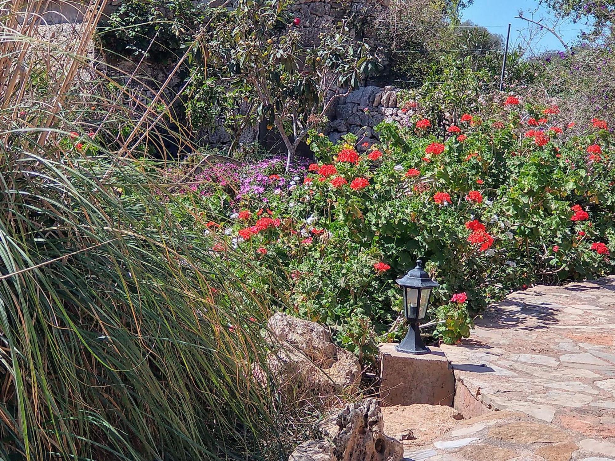 Finca Son Marimon (Adults Only) Santanyí Buitenkant foto