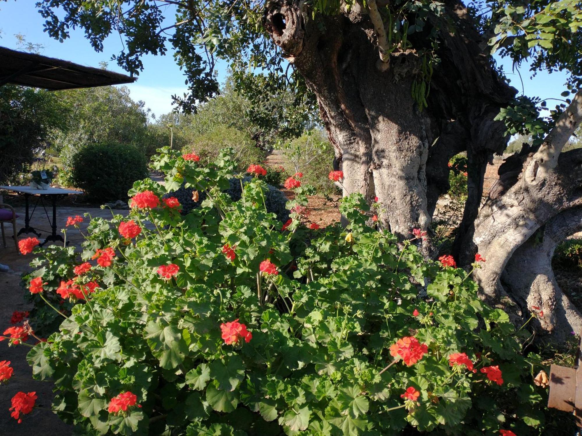 Finca Son Marimon (Adults Only) Santanyí Buitenkant foto