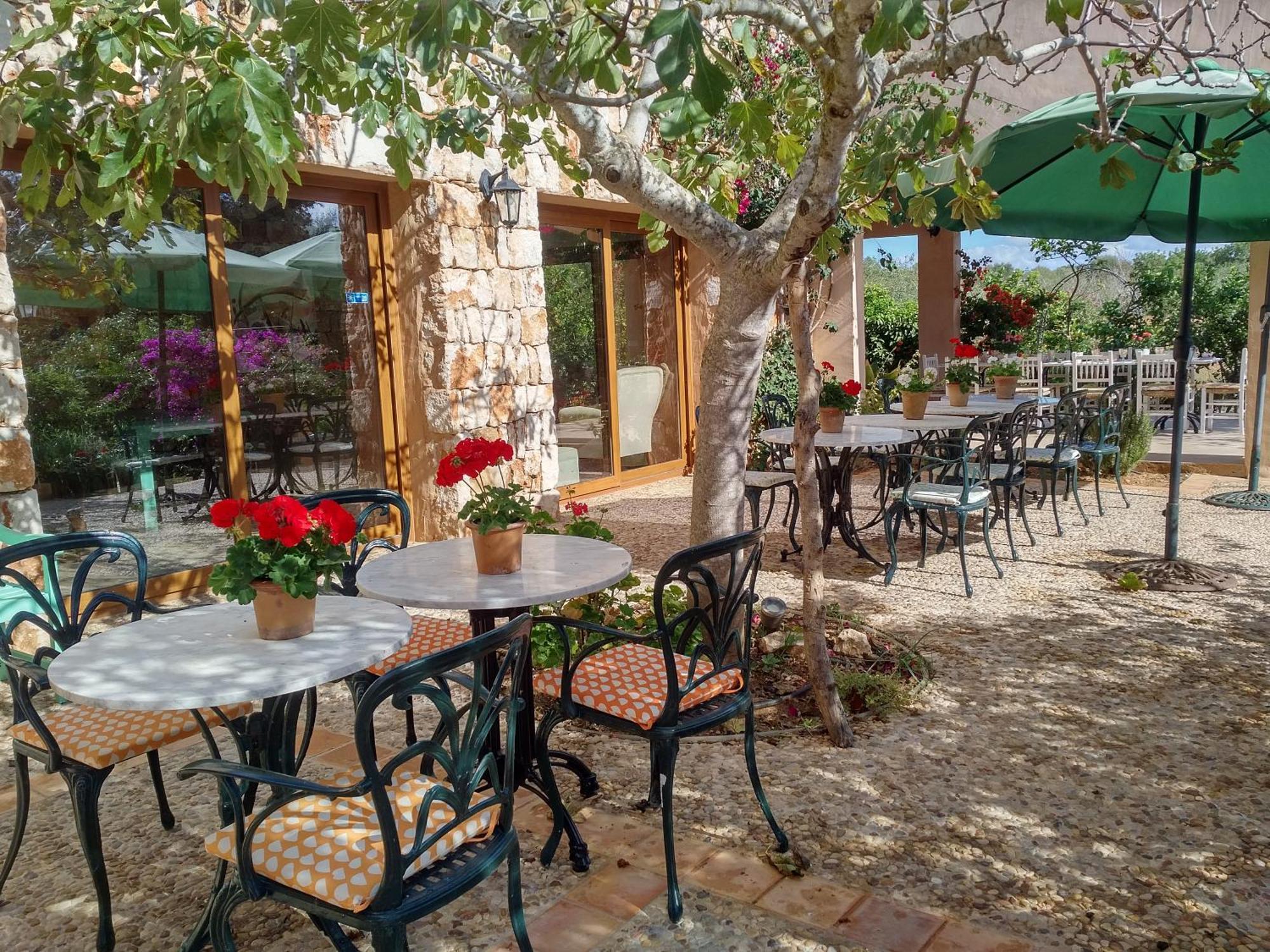 Finca Son Marimon (Adults Only) Santanyí Buitenkant foto