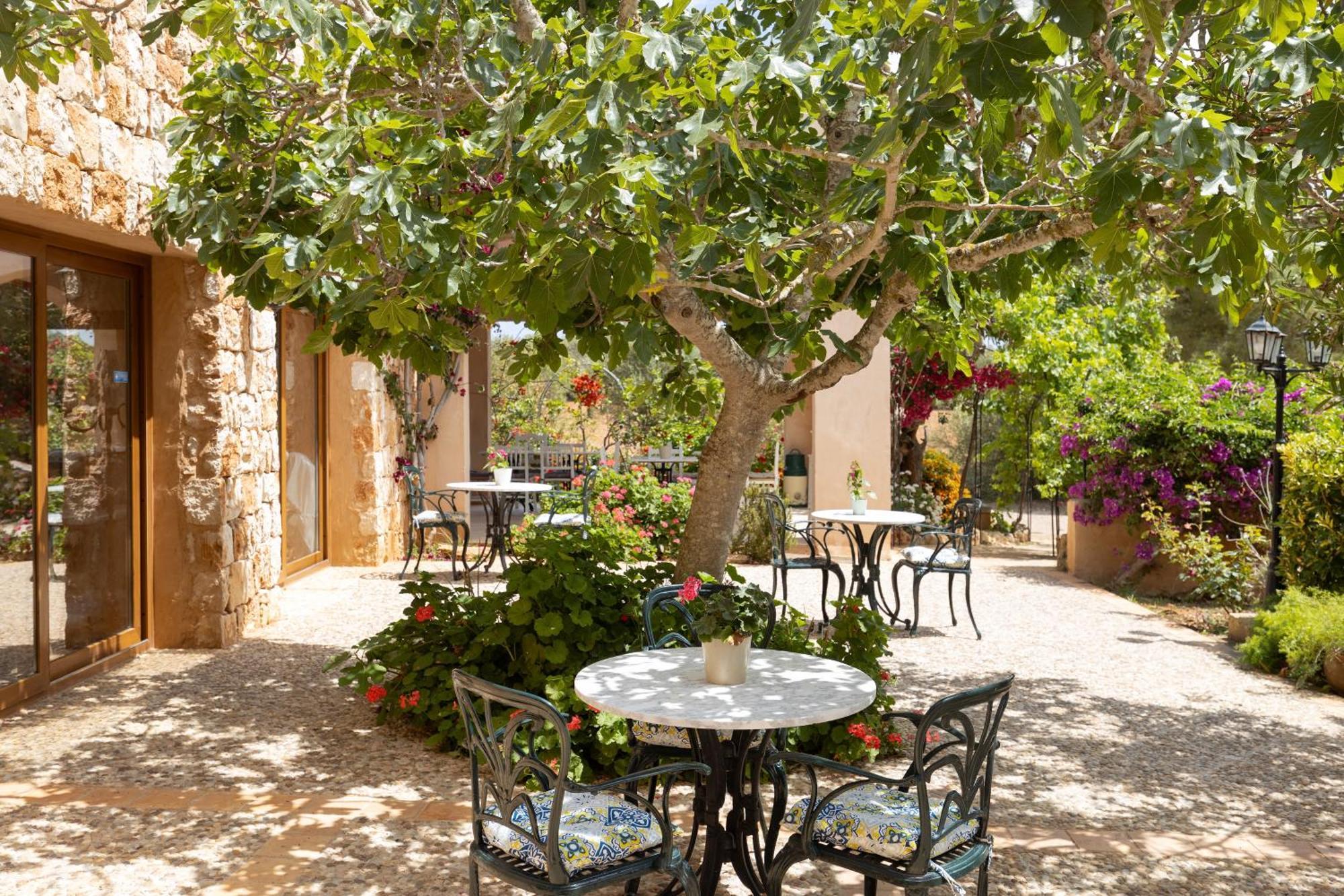 Finca Son Marimon (Adults Only) Santanyí Buitenkant foto