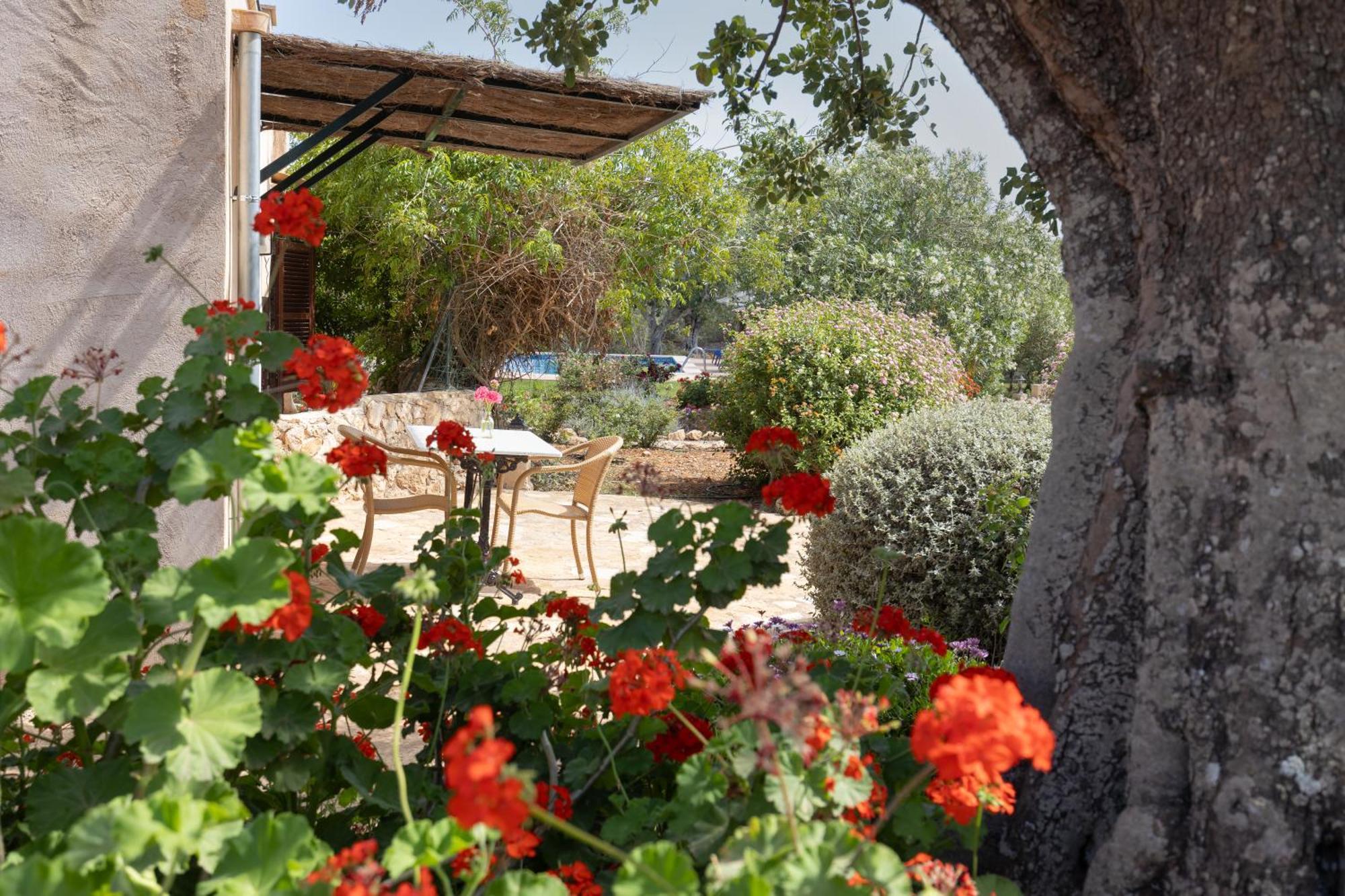 Finca Son Marimon (Adults Only) Santanyí Buitenkant foto